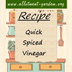 Quick Spiced Vinegar Recipe