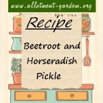 Beetroot and Horseradish Pickle