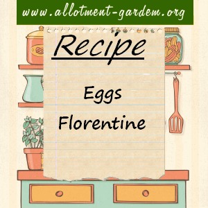 eggs florentine