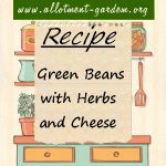 Green Beans with Herbs and Cheese Recipe