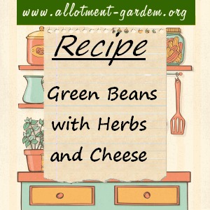 grean beans with herbs and cheese