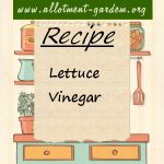 Lettuce Vinegar Recipe