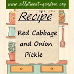 Red Cabbage and Onion Pickle