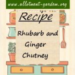 Rhubarb and Ginger Chutney Recipe