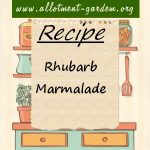 Rhubarb Marmalade Recipe