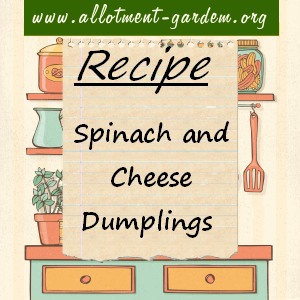spinach and cheese dumplings
