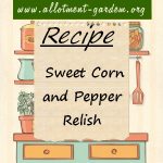 Sweet Corn & Pepper Relish