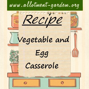vegetable and egg casserole