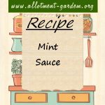 Mint Sauce Recipe
