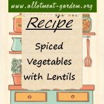 Spiced Vegetables with Lentils Recipe
