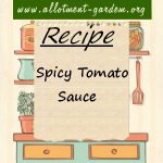 Spicy Tomato Sauce Recipe