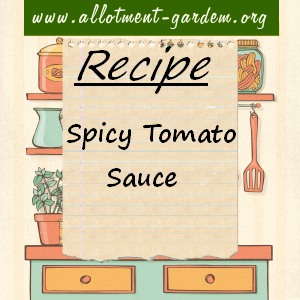 spicy tomato sauce