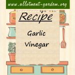 Garlic Vinegar Recipe