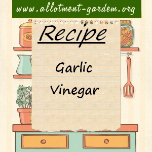 garlic vinegar