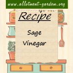 Sage Vinegar Recipe