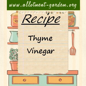 thyme vinegar