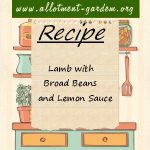 Lamb with Broad Beans and Lemon Sauce Recipe