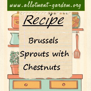 brussels sprouts with chestnuts