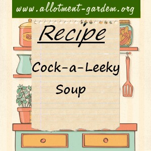 cock=a=leeky soup