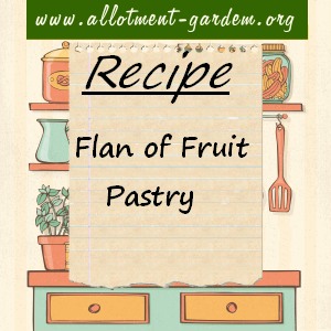 flan of fruit pastry
