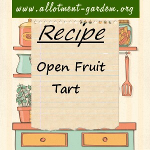 open fruit tart