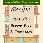 Peas with Brown Rice and Tomatoes Recipe
