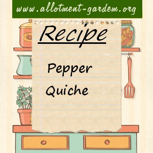pepper quiche