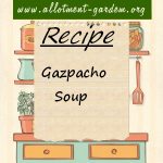 Gazpacho Soup Recipe
