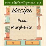 Pizza Margherita Recipe