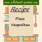 Pizza Neapolitan Recipe