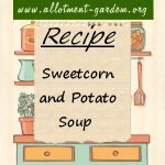 Sweetcorn and Potato Soup Recipe