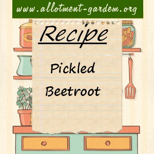 pickled beetroot