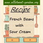 French Beans with Sour Cream Recipe
