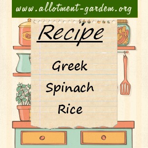 greek spinach rice