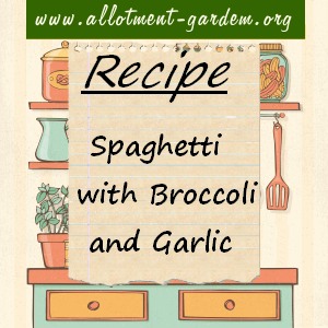 spaghetti with broccoli and garlic