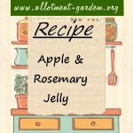 Apple & Rosemary Jelly Recipe