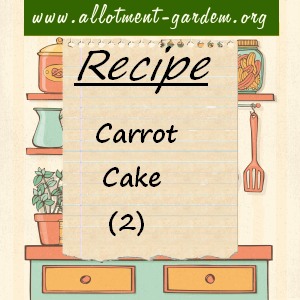 carrot cake (2)