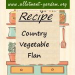 Country Vegetable Flan Recipe