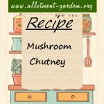 Mushroom Chutney Recipe