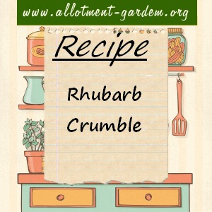rhubarb crumble