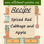 Spiced Red Cabbage & Apple Recipe