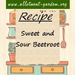 Sweet and Sour Beetroot Recipe