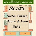 Sweet Potato, Apple & Ham Bake Recipe