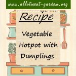 Vegetable Hotpot with Dumplings Recipe