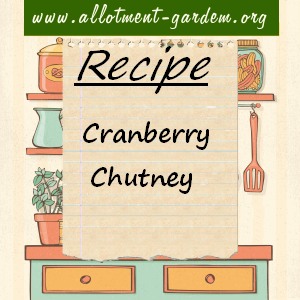 cranberry chutney