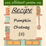 Easy Pumpkin Chutney Recipe 2 A Variation Pumpkin Chutney