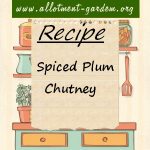 Spiced Plum Chutney Recipe