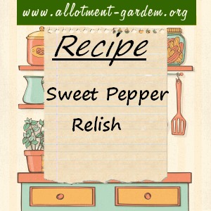 sweet pepper relish