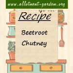 Beetroot Chutney Recipe