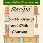 Sweet Orange and Chilli Chutney Recipe